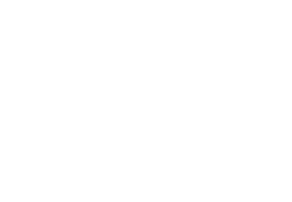 Thermage FLX RF System Logo